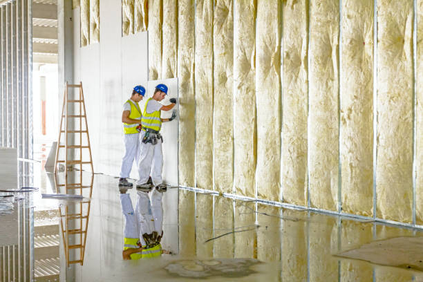 Best Commercial Insulation Services  in Brooklyn Center, MN